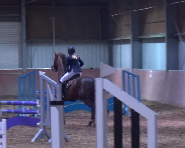 Reitturnier Troisdorf - Haus Rott 2019