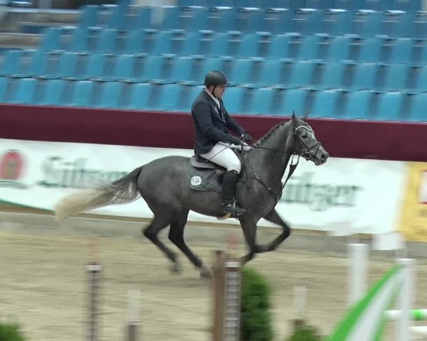 Reitturnier Neustadt/Dosse 2019