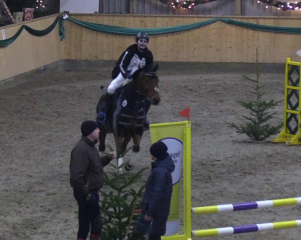 Reitturnier Leck 2019