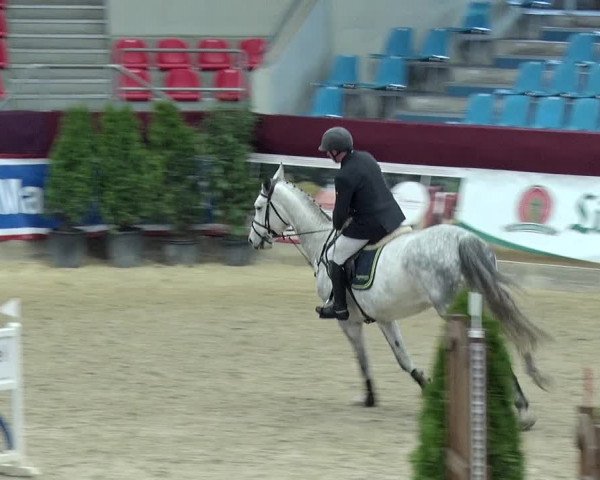 Reitturnier Neustadt/Dosse 2019
