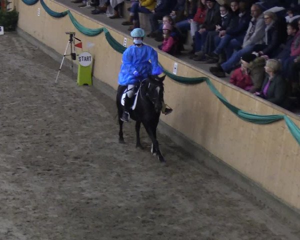 Reitturnier Leck 2019