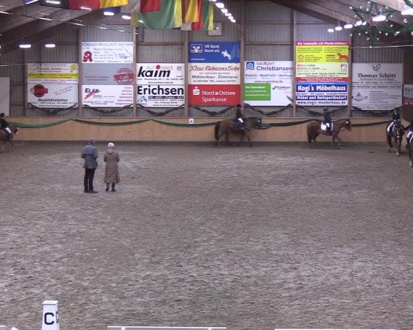 Reitturnier Leck 2019