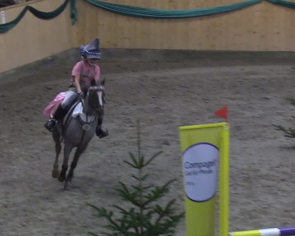 Reitturnier Leck 2019