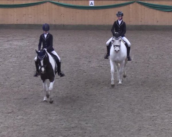 Reitturnier Leck 2019
