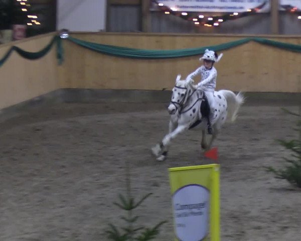 Reitturnier Leck 2019