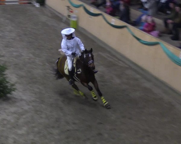 Reitturnier Leck 2019