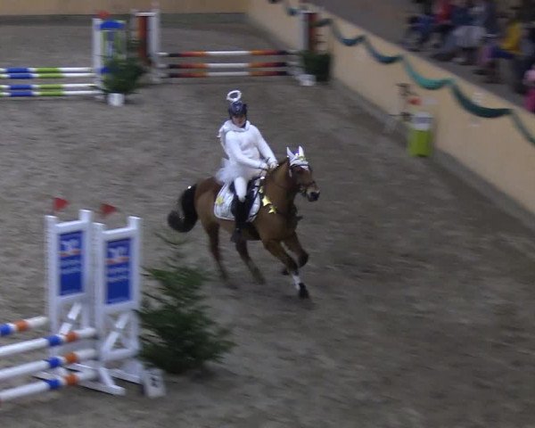 Reitturnier Leck 2019