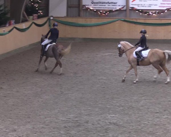 Reitturnier Leck 2019