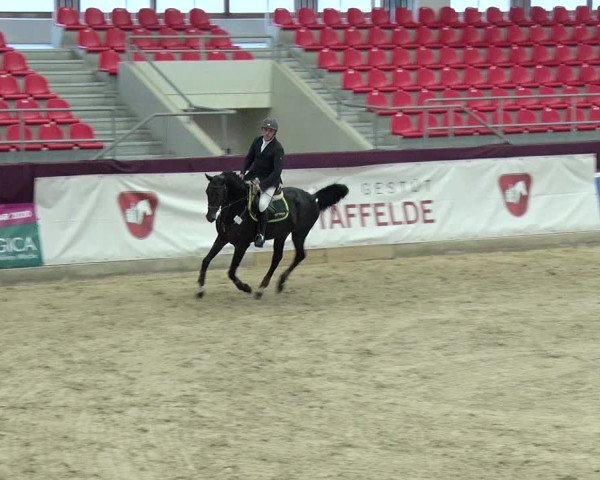 Reitturnier Neustadt/Dosse 2019