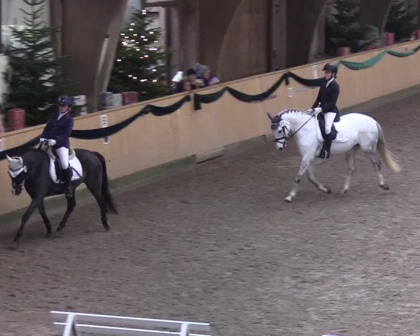 Reitturnier Leck 2019