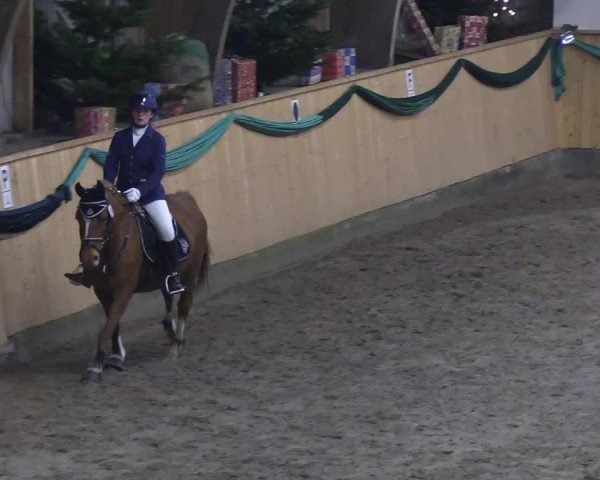 Reitturnier Leck 2019
