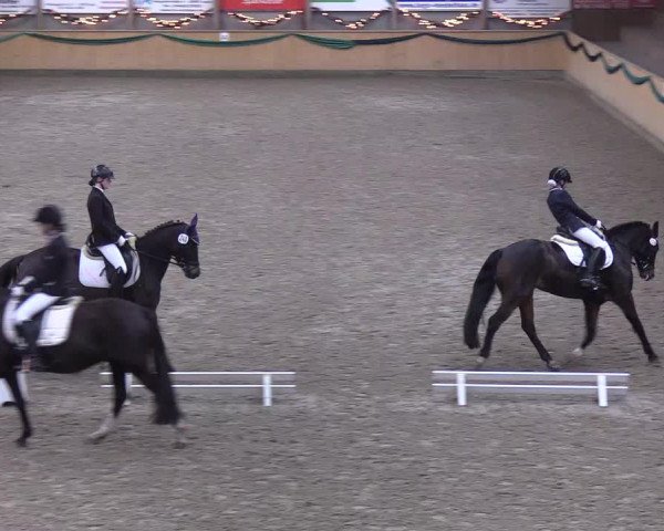 Reitturnier Leck 2019
