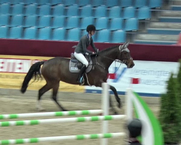 Reitturnier Neustadt/Dosse 2019