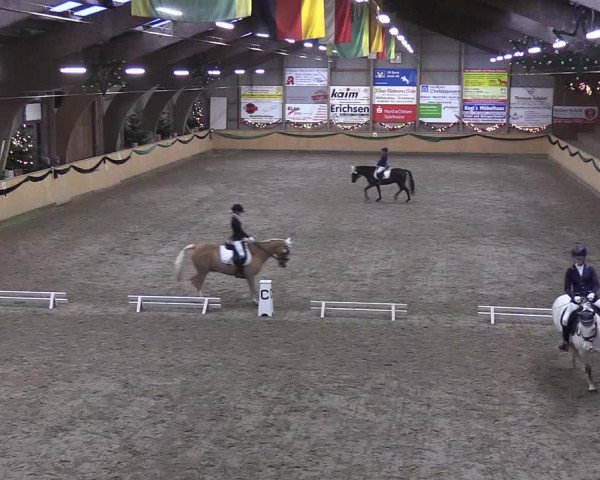 Reitturnier Leck 2019