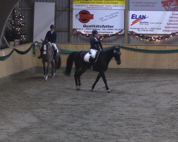 Reitturnier Leck 2019