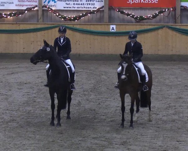 Reitturnier Leck 2019