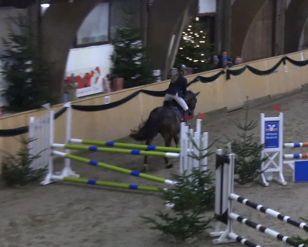 Reitturnier Leck 2019
