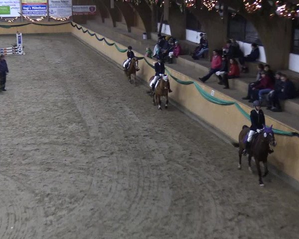 Reitturnier Leck 2019