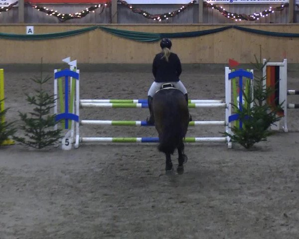 Reitturnier Leck 2019