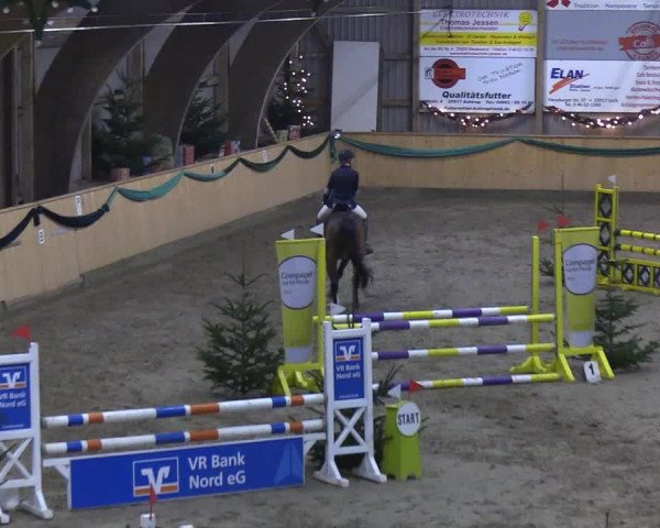 Reitturnier Leck 2019