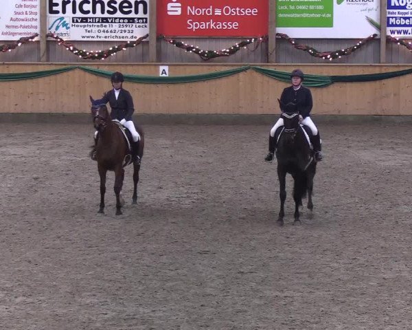 Reitturnier Leck 2019