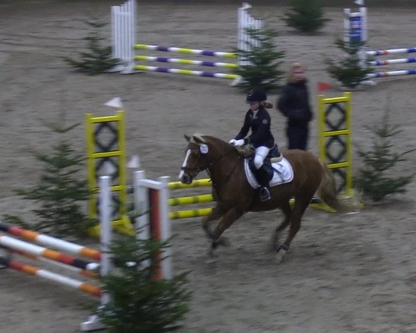Reitturnier Leck 2019