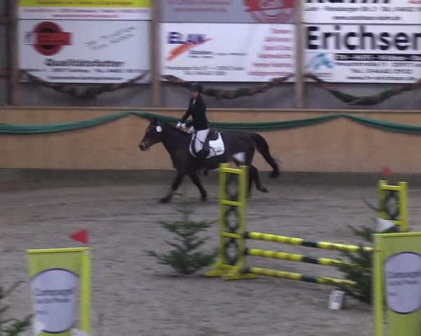Reitturnier Leck 2019