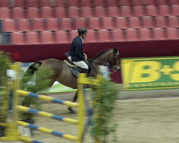 Reitturnier Neustadt/Dosse 2019