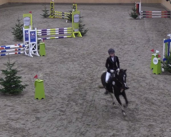 Reitturnier Leck 2019