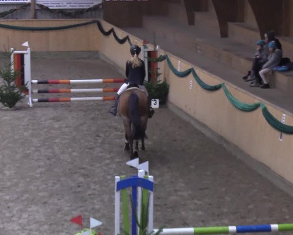 Reitturnier Leck 2019