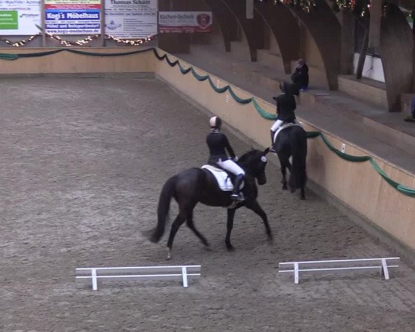 Reitturnier Leck 2019
