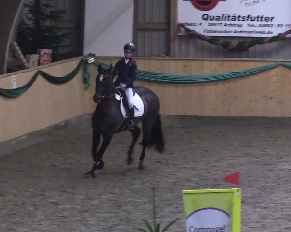 Reitturnier Leck 2019