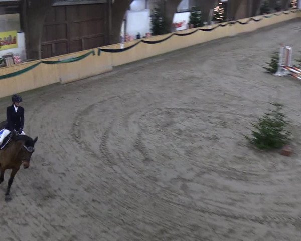Reitturnier Leck 2019