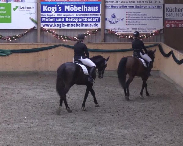 Reitturnier Leck 2019