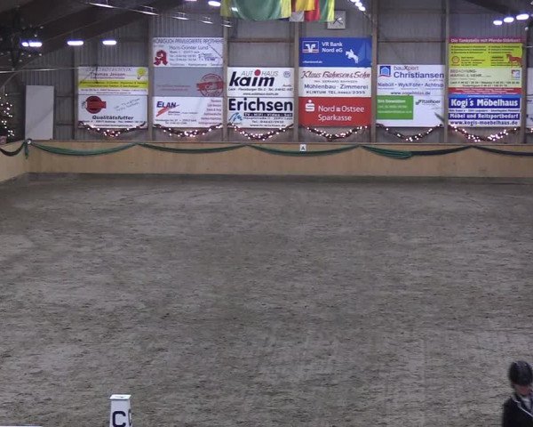 Reitturnier Leck 2019