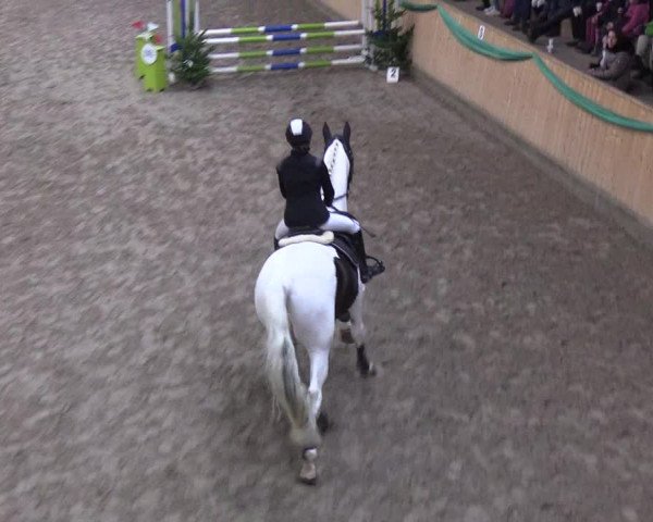 Reitturnier Leck 2019