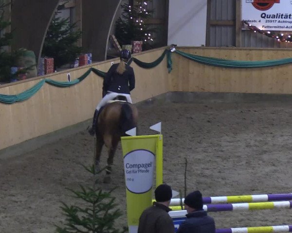 Reitturnier Leck 2019