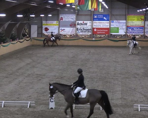 Reitturnier Leck 2019