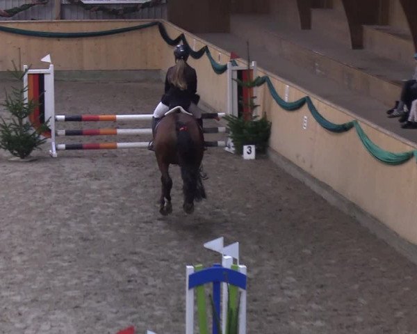 Reitturnier Leck 2019