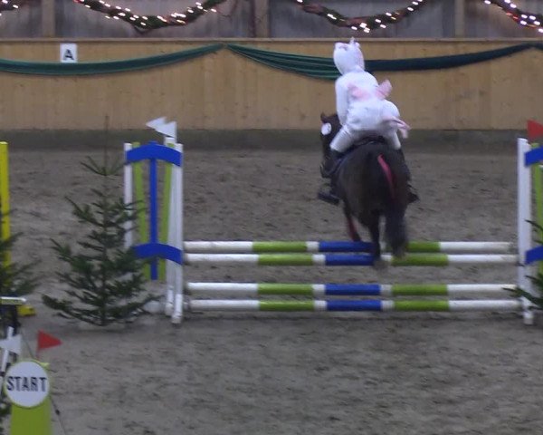 Reitturnier Leck 2019