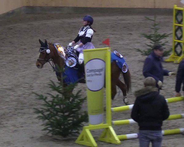 Reitturnier Leck 2019