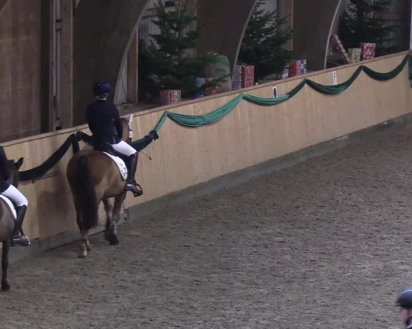 Reitturnier Leck 2019