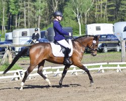 broodmare Leevke Deluxe WE (German Riding Pony, 2011, from Dance Star AT NRW)