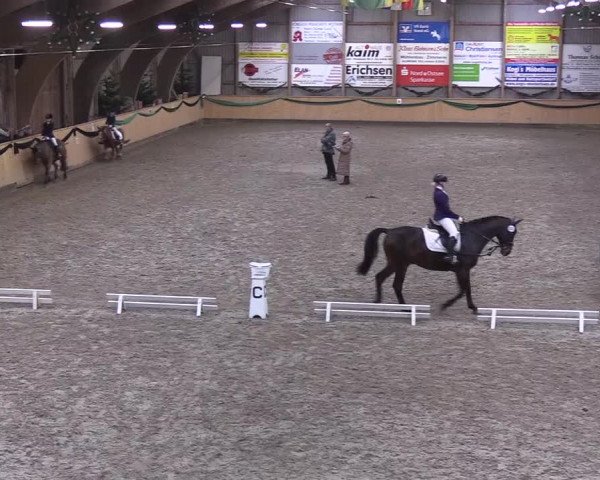 Reitturnier Leck 2019