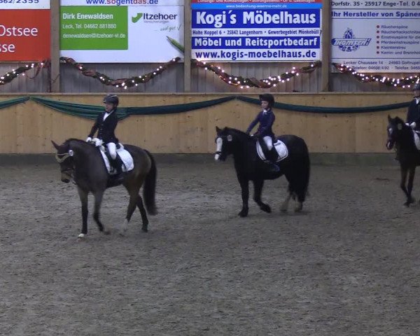 Reitturnier Leck 2019