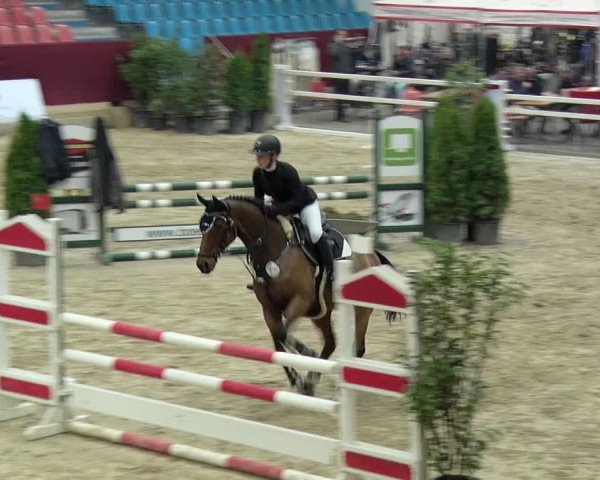 Reitturnier Neustadt/Dosse 2019