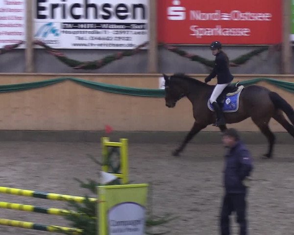 Reitturnier Leck 2019