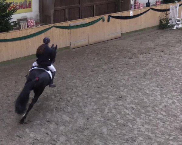 Reitturnier Leck 2019