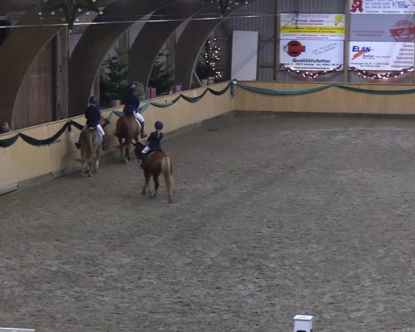 Reitturnier Leck 2019