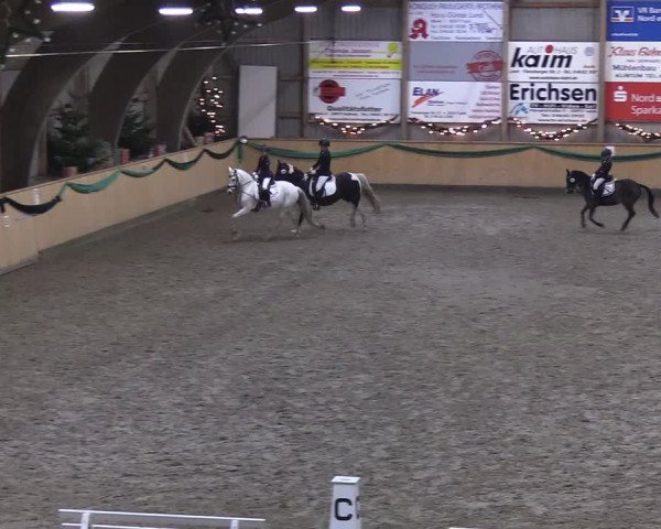 Reitturnier Leck 2019